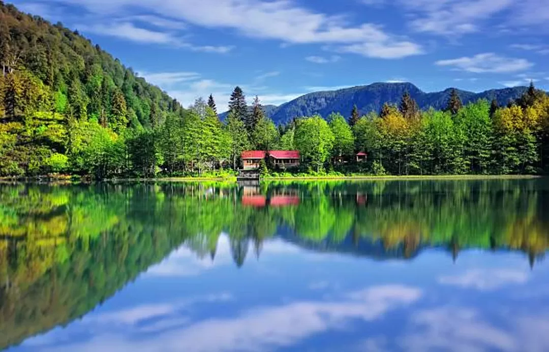 Artvin