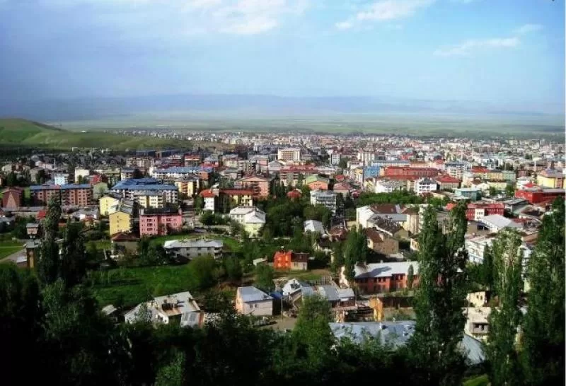Muş