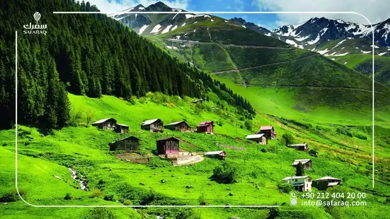 Rize