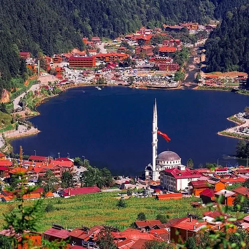 Rize