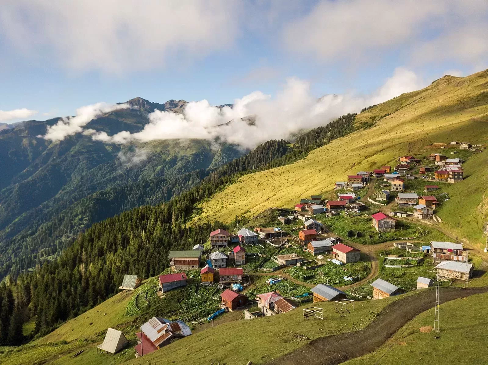 Rize