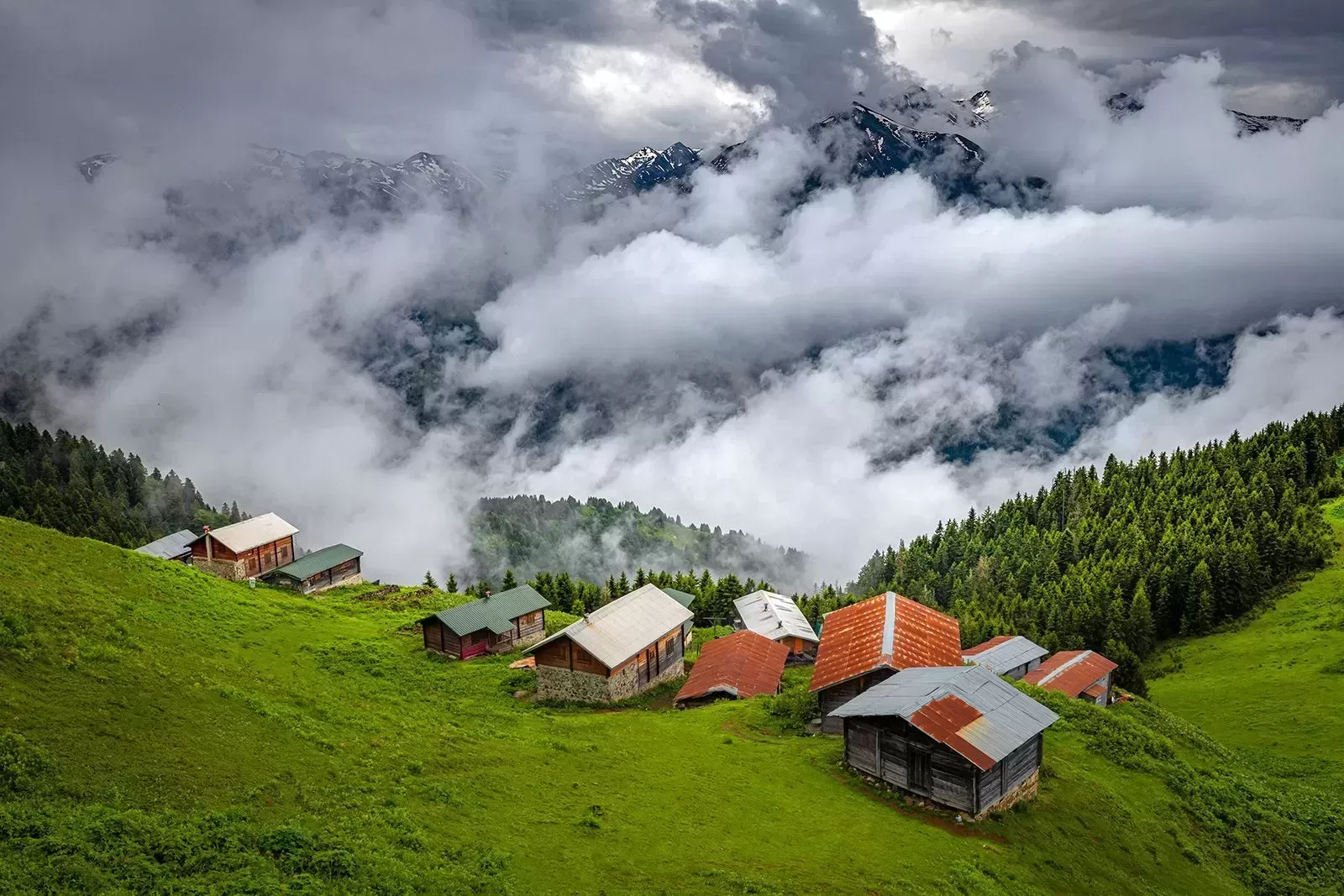 Rize